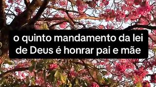 Você respeita seus pais ???
