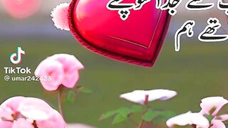 New TikTok video