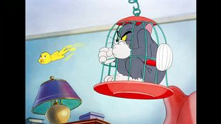 Tom & Jerry   Tom in Full Force ????   Classic Cartoon Compilation   @WB Kids