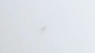 Riskiest Trust Fall Ever -- _basejump