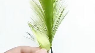 Decorate your own home۔۔۔۔۔۔۔۔۔۔۔۔۔۔۔۔۔۔۔۔۔۔۔۔۔اپنا گھر خود سجائیں