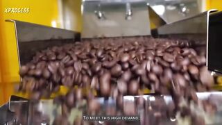How Nescafe Coffee Is Made in the factory
