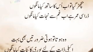 شعر : بچھڑ گیا تو اب اس کا ساتھ کیا مانگوں