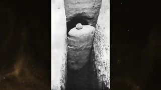 Base with Blender giza