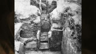 Ai animat egg of Egypt