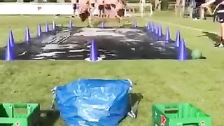 Beer run