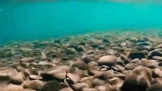Beauty Of Nature