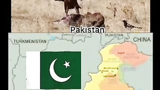 The great leader Imran khan zindabad