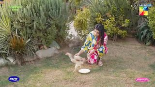Tumhari Asliyat Khul Chuki Hai Shahmeer...!#durefishansaleem #bilalabbaskhan - Ishq Murshid - HUM TV.