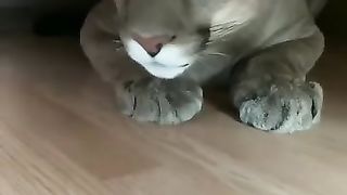 Funny video. Must Watch