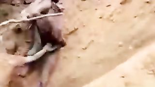 Watch_ Miners in Congo Make Dramatic Escape From Collapsed Gold