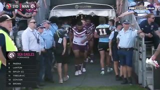 NRL Pre-Season 2024 | Pre-Season Challenge Late Mail vs Roosters | Half-time Highlights