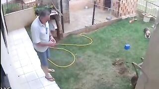 funny incidents caught on camera