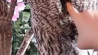 Mashallah subhanallah Kaisa Khush naseeb parinda hai