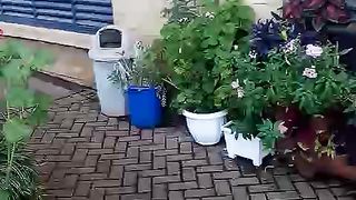 Flower shop