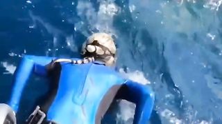 Almost Eaten by a Whale