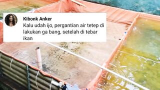 Kalau air kolam sudah HIJAU berarti tidak perlu melakukan pergantian air kolam❓????