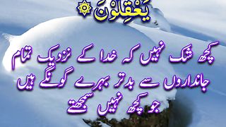 Surah Anfal | Quran Quotes