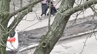 Скороходка