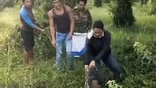DISCOVERY OF A GIANT PYTHON