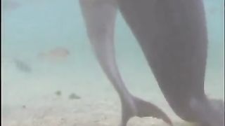 Bro came out and knew how to swim right away