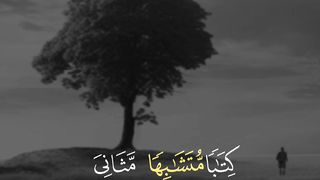 Qur'an tilawat part unlimited