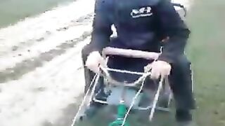 Прикол.