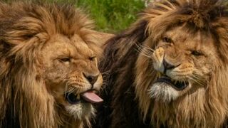 ESSAYEZ DE NE PAS RIRE PART_06 ♡♡♡