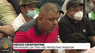 Al Jazeera gains rare access to Mexico cockfighting event.