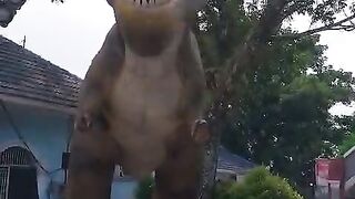 Dino land