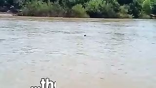 When they realize what_s swimming towards them --
