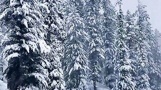 snowfall