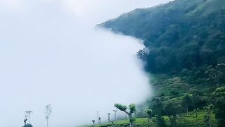 Munnar Hill Stations - Idukki, Kerala