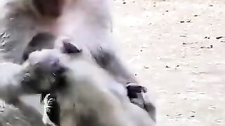 the child was bitten until it hurt