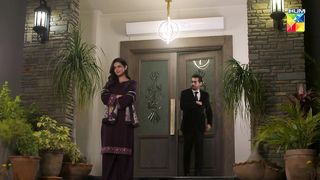 Zebo Ko Larka Acha Lgne Laga Kya.. #anikazulfikar #uzairjaswal - Nafrat - HUM TV.