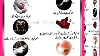 اسلامی معلومات Like share follow
