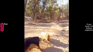 TRY NOT TO LAUGH ???? Best Funny Videos Compilation ???????????? Memes PART 168