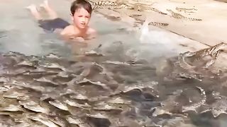 This kid swims with Alligators
