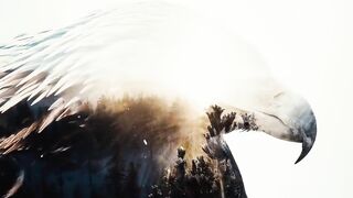 ARCH ENEMY - The Eagle Flies Alone (OFFICIAL VIDEO)