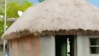 Funny videos