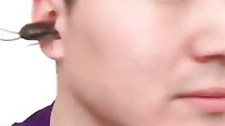 Funny video