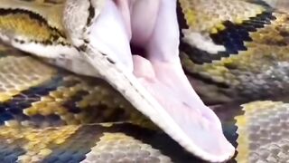 Sleepy Python