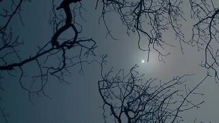 Art nature