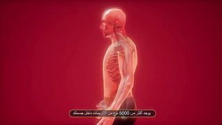 تعرف على الانزيمات ووظائفها الحيوية