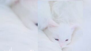 My life ???? my dream my  baby