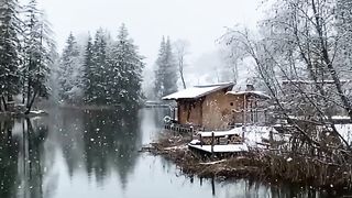 Amazing video