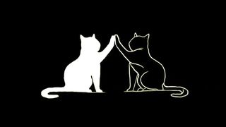 Video about beautiful graphics