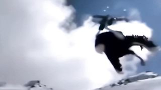 OSTRICH ON SKIS