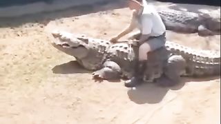 Crocodiles almost use him for lunch