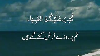 Best Smooth Emotional & Beautiful Quran Recitation